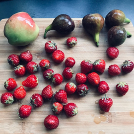 Fruit drogen in de oven