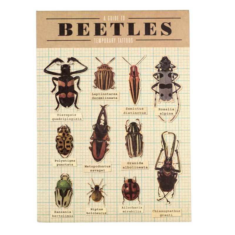 Dotcom giftshop plaktattoos Beetles