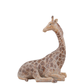 Giraf Gigi, klein