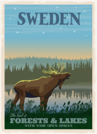 Postcard Sweden Älg