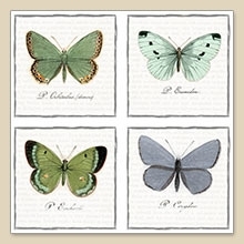 Servet Butterflies, 33x33 cm, nr. 80056