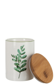 Voorraadpot Eucalyptus, 3 ass.