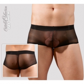 Doorzichtige boxershort (set van 2 stuks)