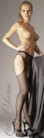Sexy net panty
