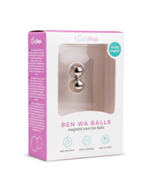 Zilverkleurige Ben Wa Ballen 12 mm