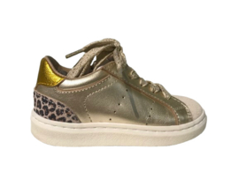 Pinocchio P1545 goud leopard sneakertje