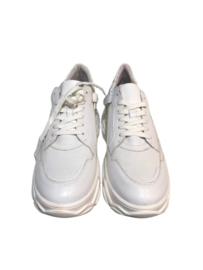 Gattino G1580 wit platina Meisjes sneaker combi