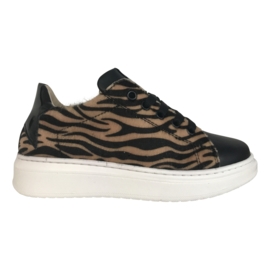 SHO.E.B.76 1704B6P meisjes sneaker zwart zebra