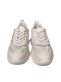 Steve Madden sneakers Jpossession White