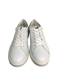 Hip D1253 Sneaker Combi Goud