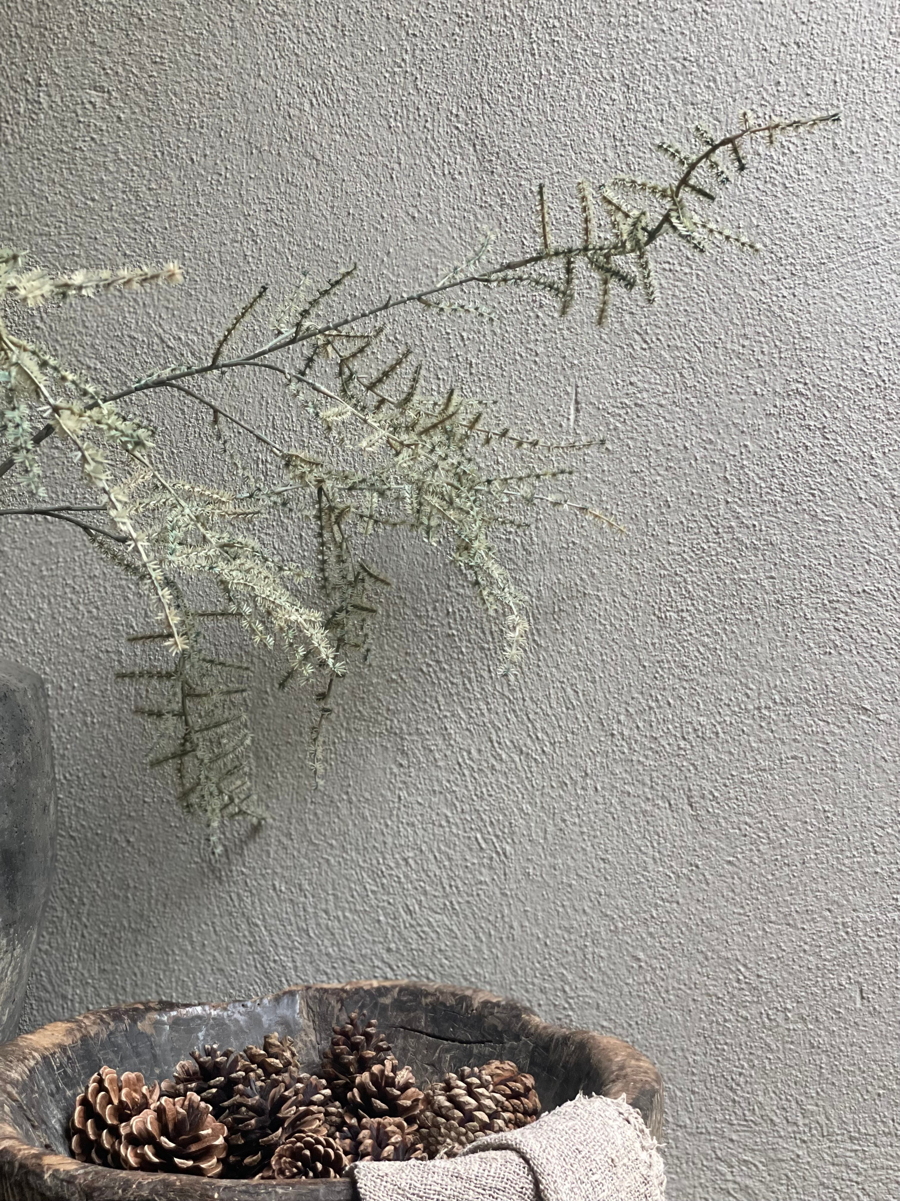 Asparagus imitatie kunst prachtige grote tak decoratie decoratietak landelijk sober groen grijs grey