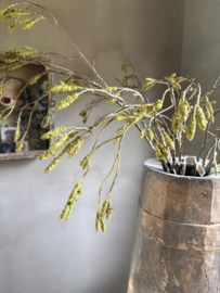 Mooie lange grotere sobere decoratie tak catkins branch 105 cm berk berkentak katjes kunst