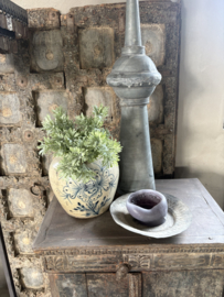 Thyme thijm bush green / grey 33 cm