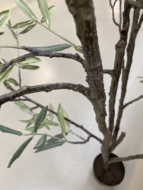 Prachtige kunst olijfplant olijfboom imitatie Olijf olive tree