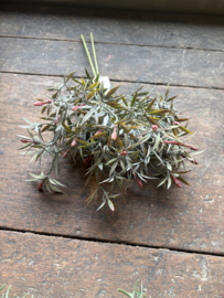 Alnus Bush grey 25 cm plantje bosje van 3 takjes kunst