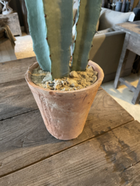 Gave imitatie cactus vergrijsd groen 47 cm  in terra pot landelijk stoer sober
