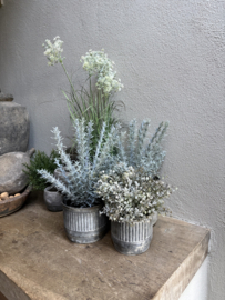 Prachtige vergrijsde thyme tijm thijm kunst plantje in zwarte pot imitatie “ zijden “
