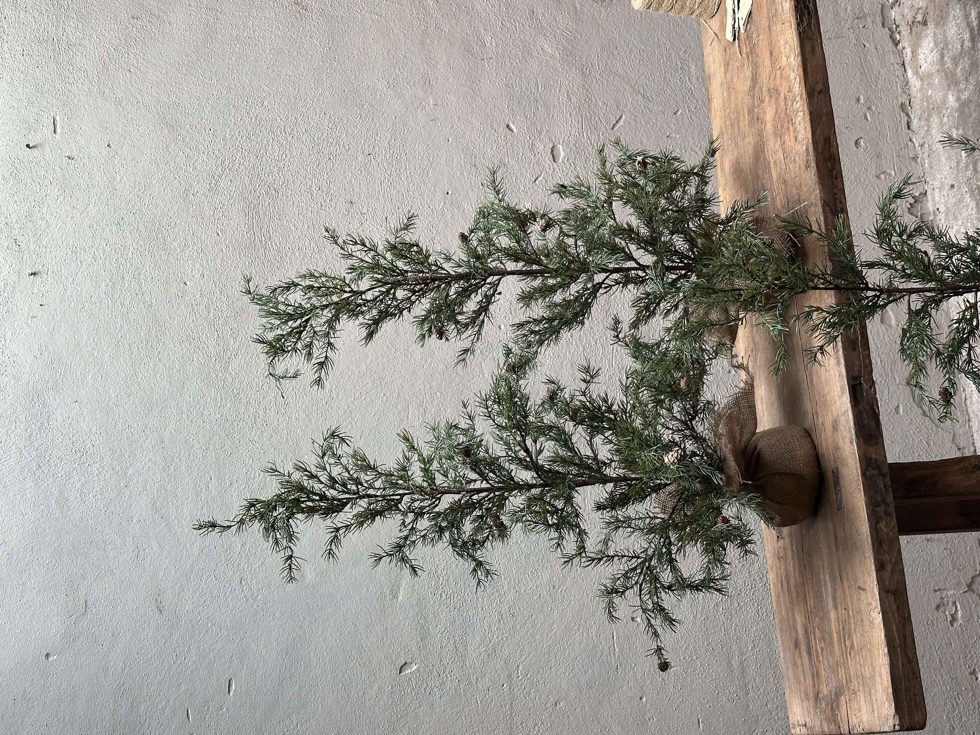 Larix Diana boom s 90 cm