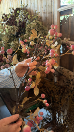 malus green tak