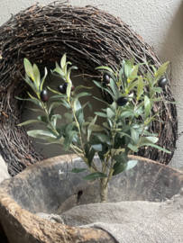 Imitatie olijfboom olijf live tree plantje boompje 50 cm