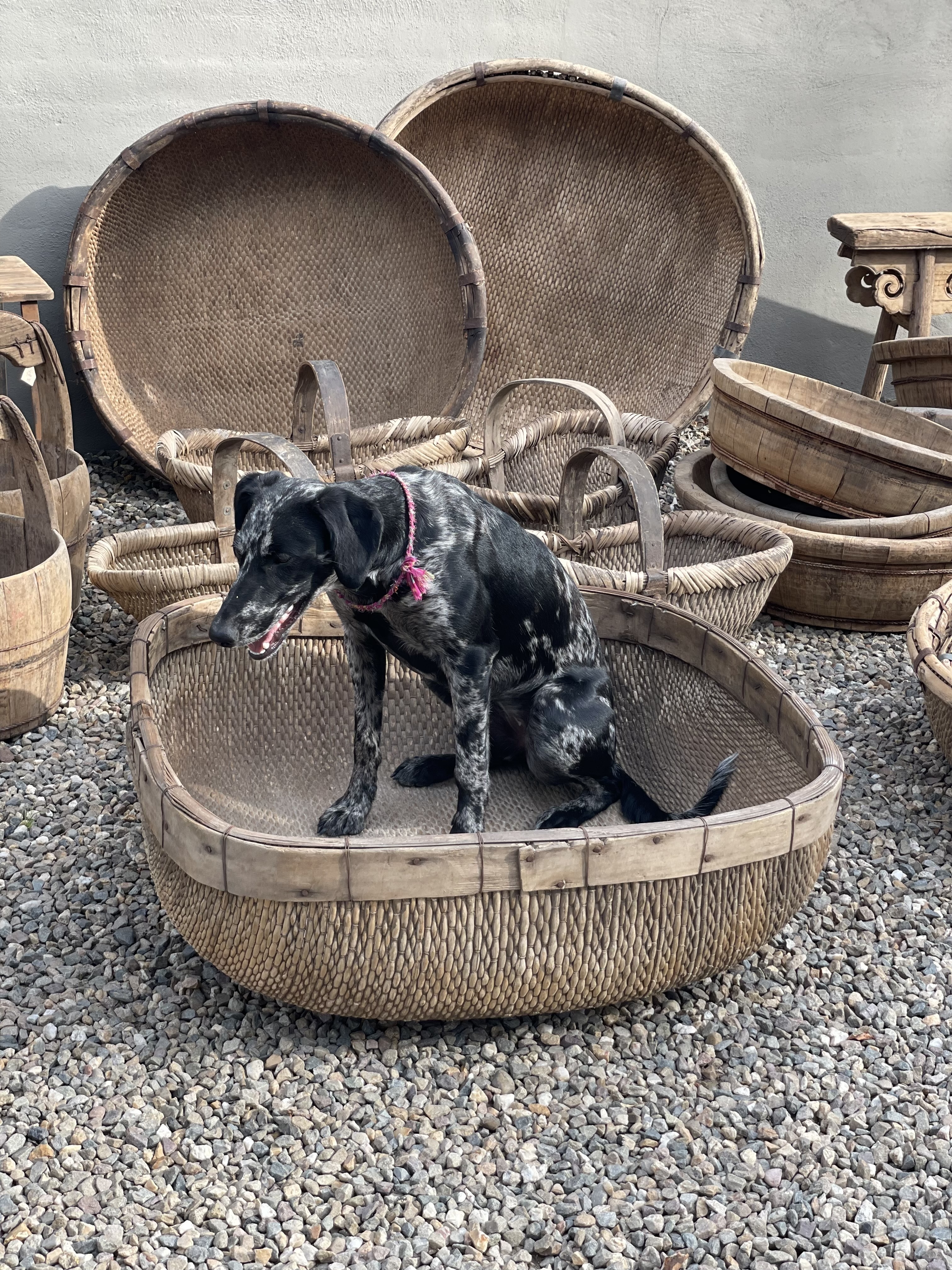 Gave grote ronde vergrijsde rieten rotan mand basket korf 85 cm landelijk sober