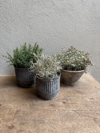 Vergrijsd grijs groen bosje imitatie kunst takje Bush calocephalus decoratie