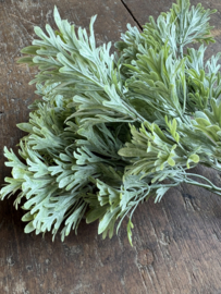 Thyme thijm bush green / grey 33 cm