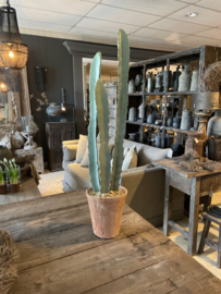Gave imitatie cactus vergrijsd groen 80 cm  in terra pot landelijk stoer sober boho Ibiza vintage