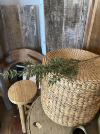 Mooie Groene decoratietak imitatie