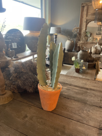 Gave imitatie cactus vergrijsd groen 47 cm  in terra pot landelijk stoer sober