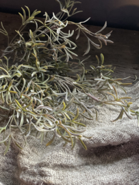 Olijfgroen takje bosje decoratie imitatie ptmd vergrijsd olijfkleur 35 cm sedum bush Thijm tijm tak takje