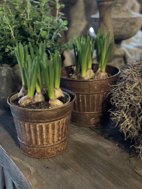 Leuk roest metalen potje bloempotje klein bak bakje beker