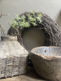 Mooie groene groengrijze imitatie rozemarijn tak bloemen bloem decoratie kunst