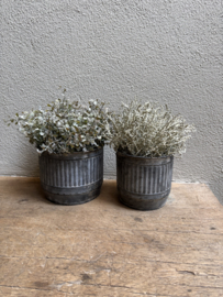 Vergrijsd grijs groen bosje imitatie kunst takje Bush calocephalus decoratie