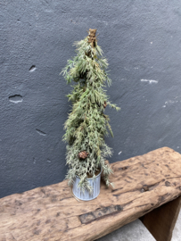 Hele leuke vergrijsde kerstboom Kerstboompjes kunst in zinken potje 55 cm