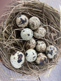 Leuke kwarteleitjes eitjes voorjaar decoratie landelijk 60 stuks