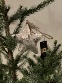 Zilver gouden kerstbal ptmd ster groot
