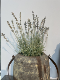 Imitatie lavendel lavender tak spray 66 cm decoratie tak groen