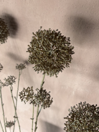 Mooie sobere decoratietak bruin kunstbloem eupatorium S Brown 90 cm