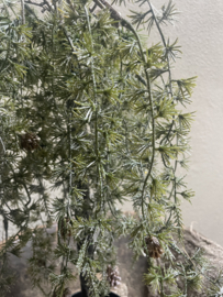 Prachtig vergrijsd groen kunstboom boompje kerstboom LED