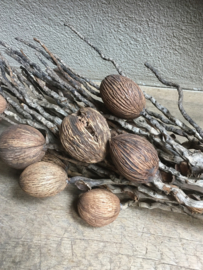 Naturel houten decoratietak tak bos takkenbos met bollen landelijk stoer sober