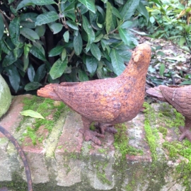 Gietijzeren duif vogel duifjes duiven duifje roest gietijzer beeld beeldje tuinbeeld tuinornament