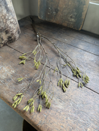 Mooie lange grotere sobere decoratie tak catkins branch 105 cm berk berkentak katjes kunst
