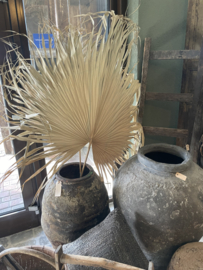 Mooie grote palmbladeren palm palmblad decoratie tak boho landelijk Ibiza vintage