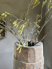 Mooie lange grotere sobere decoratie tak catkins branch 105 cm berk berkentak katjes kunst