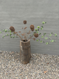 Mooie frisse groene dennentak 115 cm Den larix L