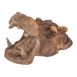Vergrijsd oud houten nijlpaard hoofd kop beeld landelijk stoer sober