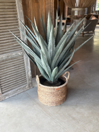 Grote agave plant in zwarte pot UV 122 cm eucalyptus kunst
