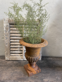 Bundel wilde asparagus 70 cm decoratie landelijke stijl groen takken