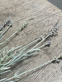 Imitatie lavendel lavender tak spray 66 cm decoratie tak groen